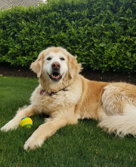 Entry image for Jessie. Clicking this image will show a larger photo