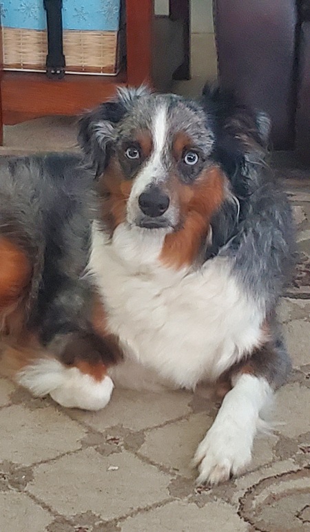 Entry image for JACK. Clicking this image will show a larger photo