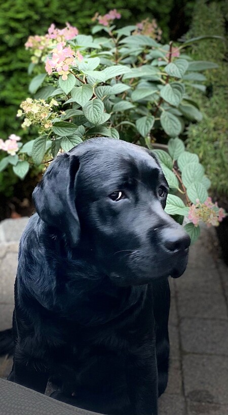 Entry image for Kevin. Clicking this image will show a larger photo