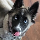 Entry image for Remington 