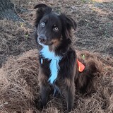 Entry image for Drift