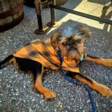 Entry image for Bitters 