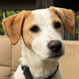 Entry image for Luna