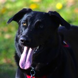 Entry image for Sabrina