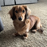 Entry image for Winnie