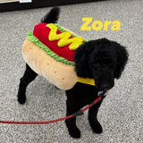 Entry image for Zora