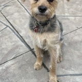 Entry image for Indie 