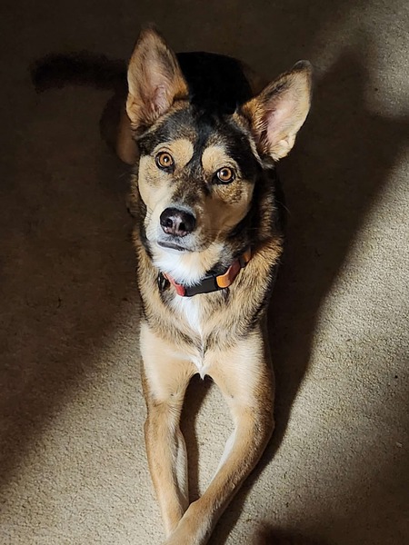 Entry image for Tempy. Clicking this image will show a larger photo