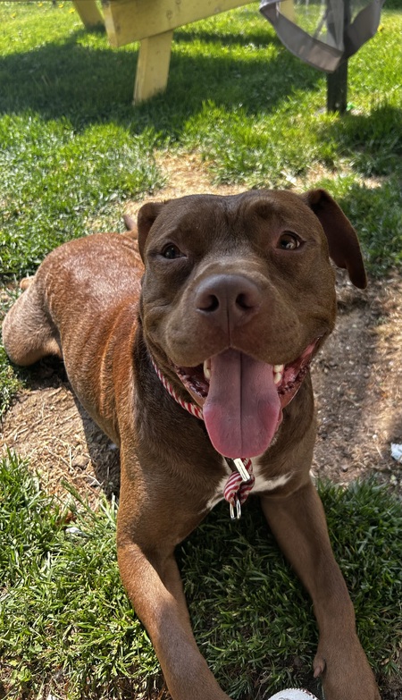 Entry image for Waldo . Clicking this image will show a larger photo