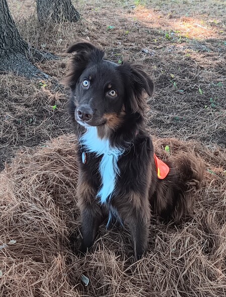 Entry image for Drift. Clicking this image will show a larger photo