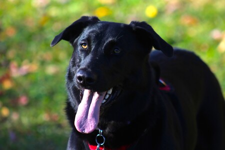 Entry image for Sabrina. Clicking this image will show a larger photo