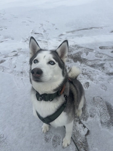 Entry image for Sky. Clicking this image will show a larger photo