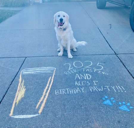 Entry image for Ace Schroeder. Clicking this image will show a larger photo