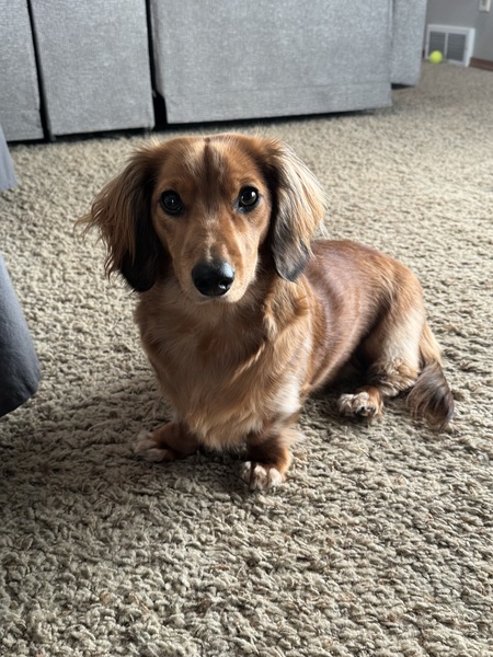 Entry image for Winnie. Clicking this image will show a larger photo