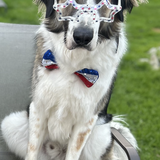 Entry image for Murphy