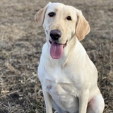 Entry image for Aspyn