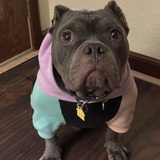 Entry image for Stanley