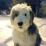 Entry image for Ginny