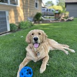 Entry image for Leinie