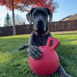 Entry image for Kala