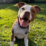 Entry image for Q-Tip