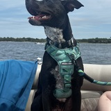 Entry image for Bronx