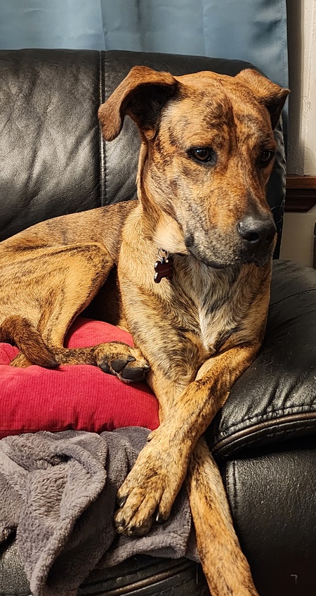 Entry image for Tony. Clicking this image will show a larger photo