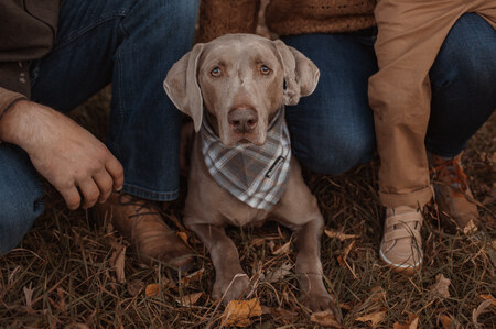 Entry image for Jameson. Clicking this image will show a larger photo