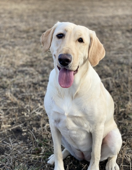 Entry image for Aspyn. Clicking this image will show a larger photo