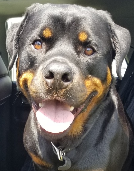 Entry image for Tuco. Clicking this image will show a larger photo