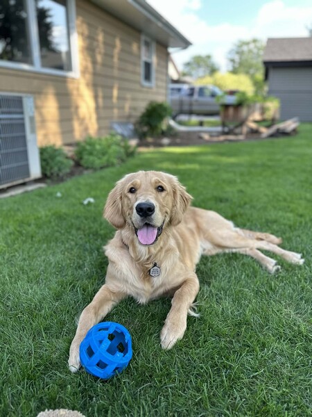 Entry image for Leinie. Clicking this image will show a larger photo