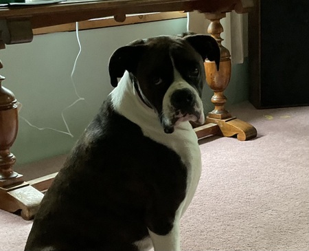 Entry image for Odin. Clicking this image will show a larger photo