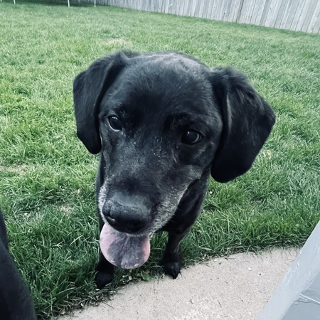 Entry image for Jordy. Clicking this image will show a larger photo