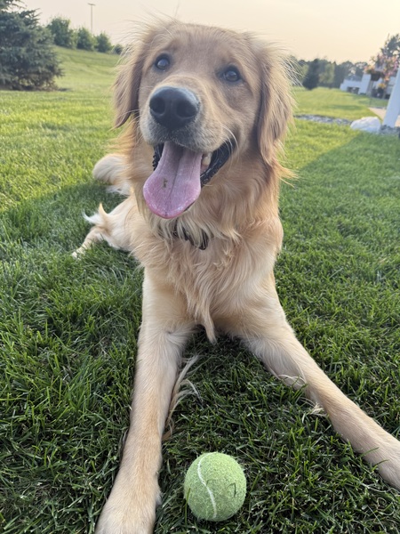 Entry image for Levi. Clicking this image will show a larger photo