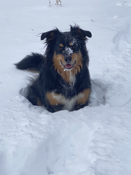 Entry image for Henry Arthur. Clicking this image will show a larger photo