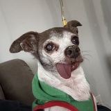 Entry image for Effie Sue