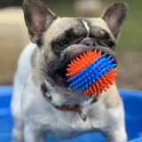 Entry image for Winston