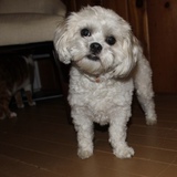 Entry image for Eleanor “Ella”