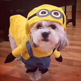 Entry image for Eleanor “Ella”