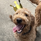 Entry image for Driver