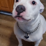 Entry image for Eggsy