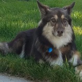 Entry image for Millie