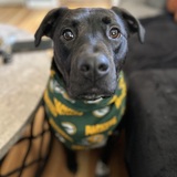 Entry image for Sambuca “Buca” 