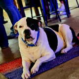 Entry image for Carl