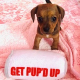 Entry image for Lulu 