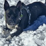 Entry image for Rupert