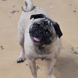 Entry image for Margo