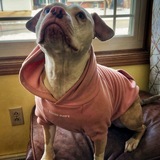 Entry image for Athena