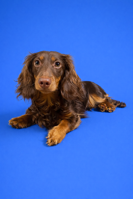 Entry image for Mr. Bink . Clicking this image will show a larger photo