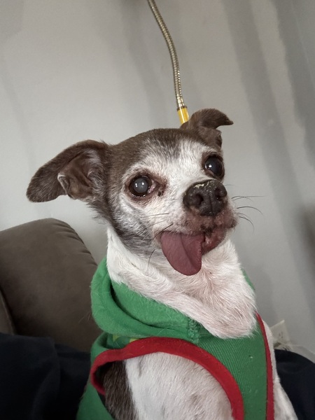 Entry image for Effie Sue. Clicking this image will show a larger photo